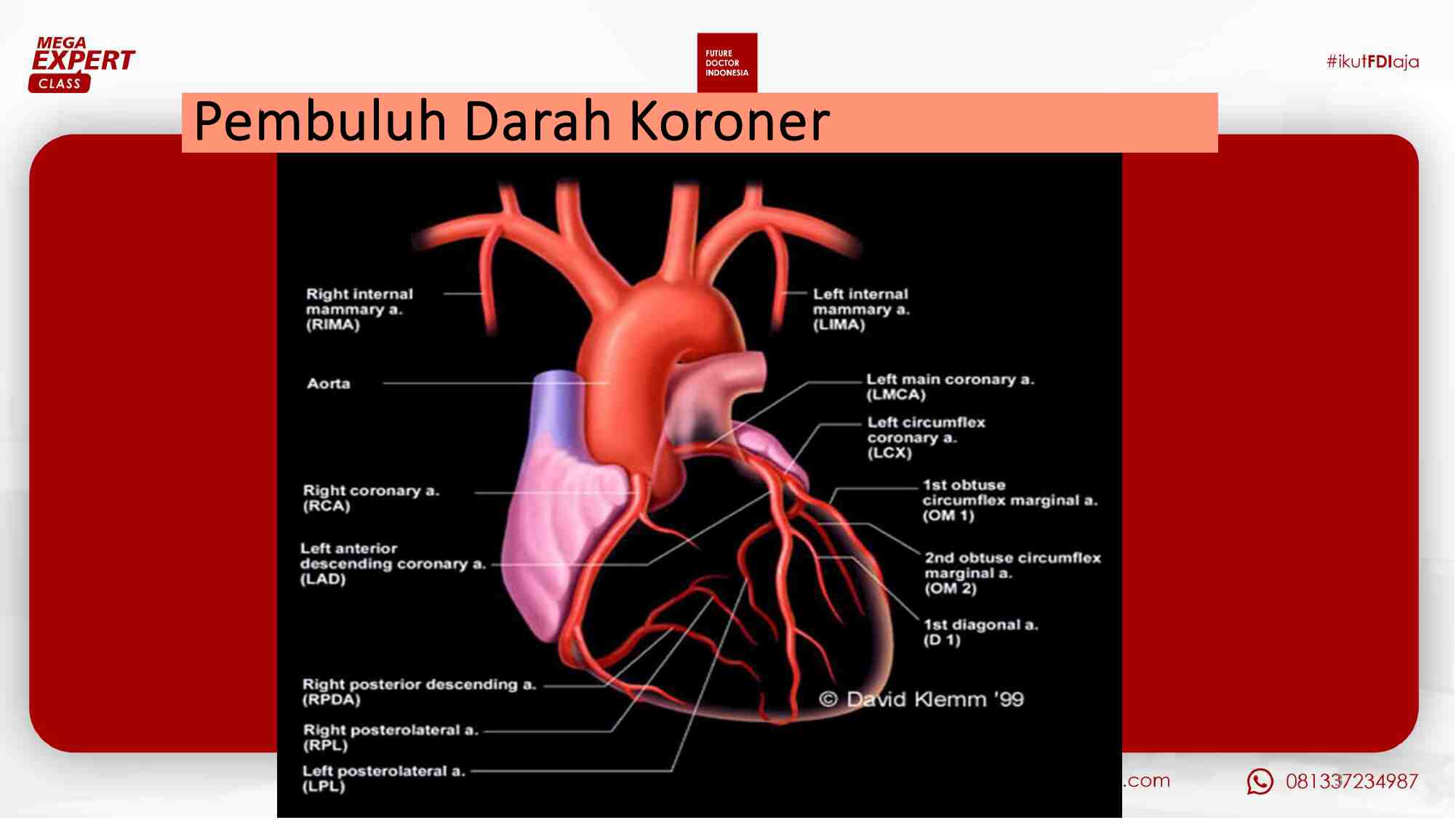 [day-2]-pendekatan-diagnosis-dan-tatalaksana-awal-acs-di-igd-190